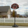Canasta de Baloncesto Lifetime Portátil 222 cm