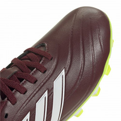 Botas de Fútbol para Adultos Adidas Copa Pure 2 Club Fxg Marrón