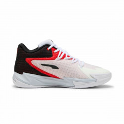 Zapatillas de Baloncesto...