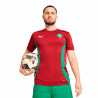 Camiseta de Fútbol de Manga Corta Hombre Puma Marruecos Prematch Ss Rojo
